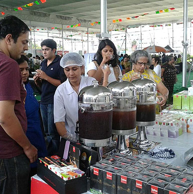 Typhoo again won the hearts of the Puneites with its explosive mix of the enticing fresh fruits and exotic herbs of Fruit Infusion Range at Pune Farmers Market